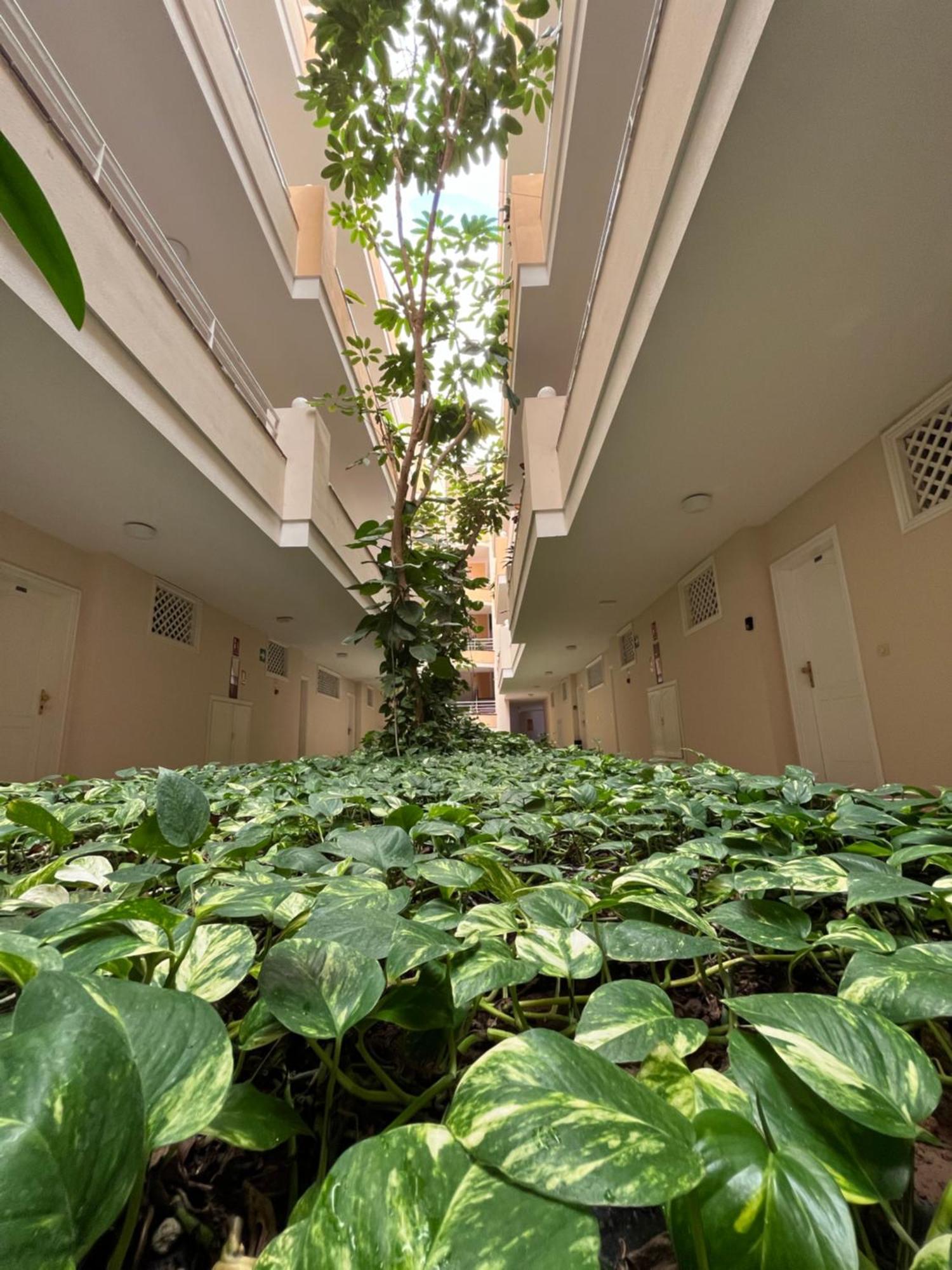 Lory Sweet Home Puerto de Santiago  Exterior photo